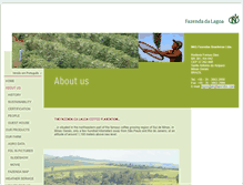 Tablet Screenshot of fazendadalagoa.com